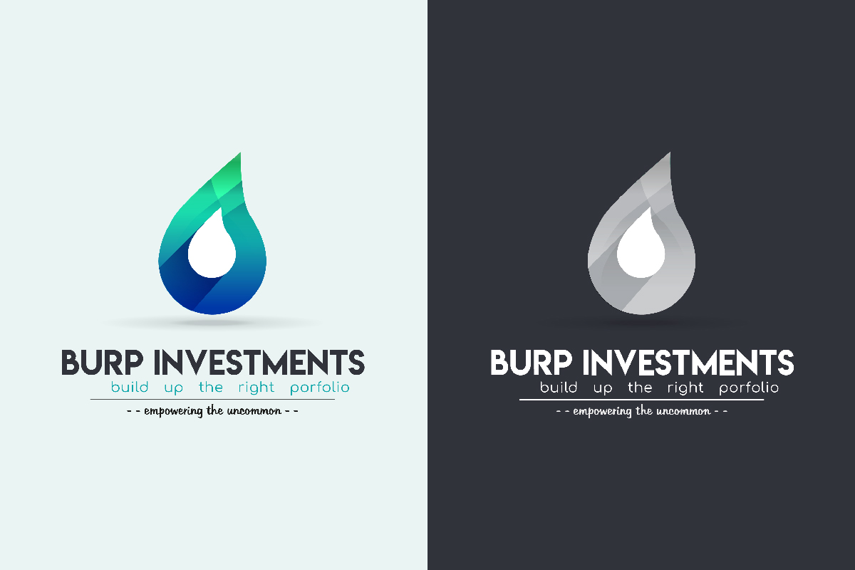Burp Investment-02